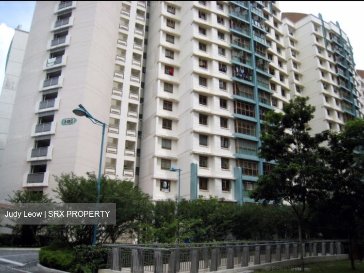 Blk 315C Anchorvale Road (Sengkang), HDB Executive #216353531